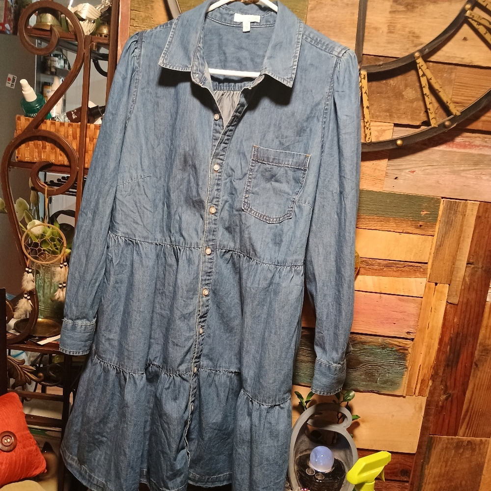 Blue Denim Button-Up Dress